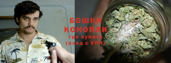 дмт Карпинск