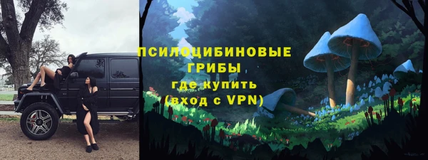 дмт Карпинск