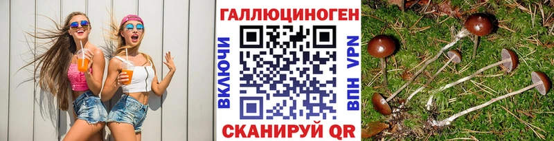 Галлюциногенные грибы Magic Shrooms  Купить где  Кирс 
